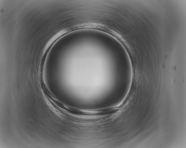 X0000085211426200703161207