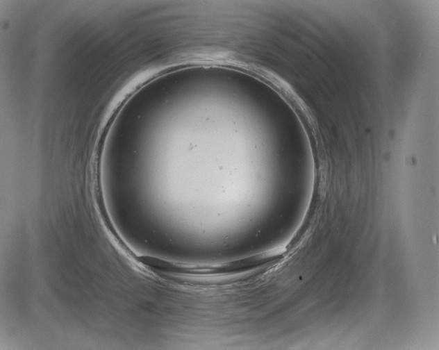 X0000085211432200703161208