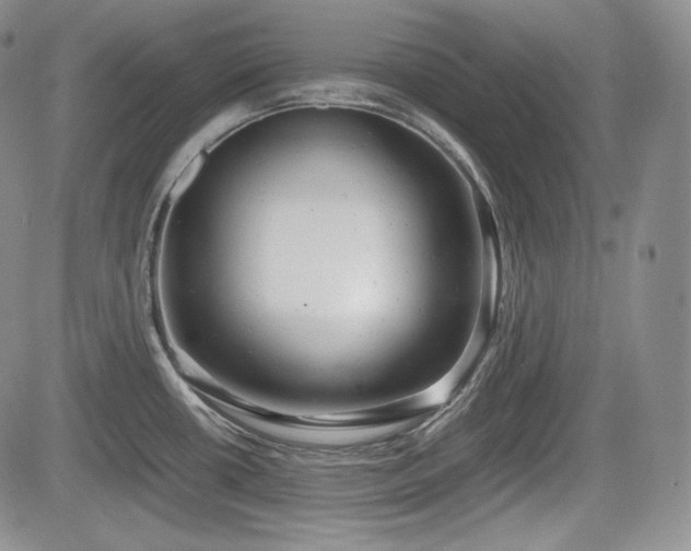 X0000085211434200703161208
