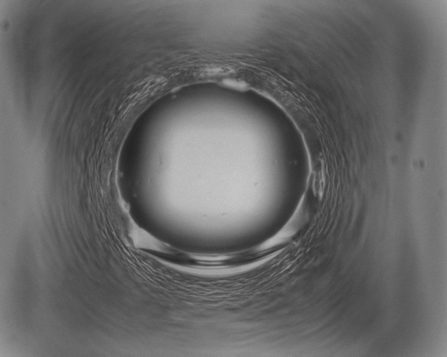 X0000085211441200703161207