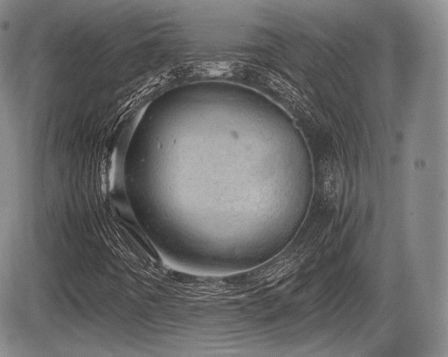 X0000085211442200703161207