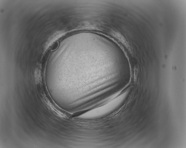 X0000085211452200703161207