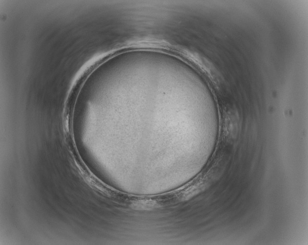 X0000085211462200703161207