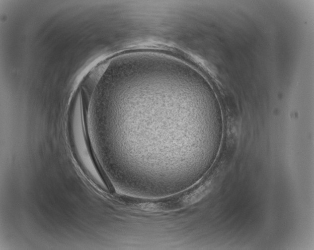 X0000085211463200703161207