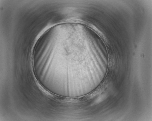X0000085211478200703161206