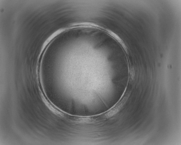 X0000085211482200703161206