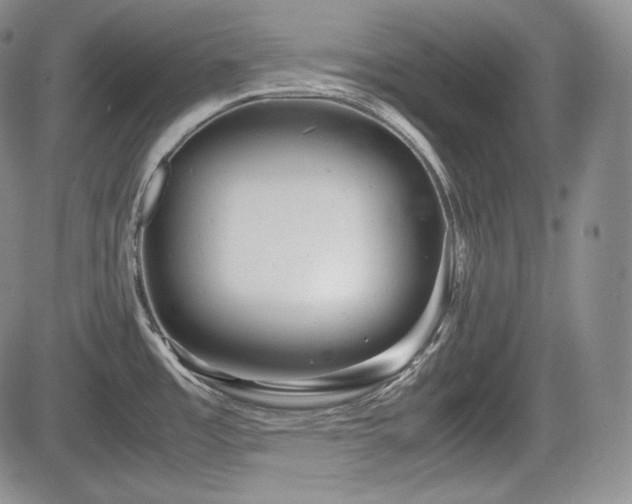 X0000085211485200703161206