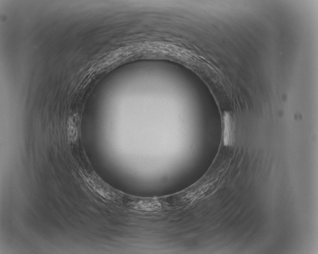 X0000085211491200703161205