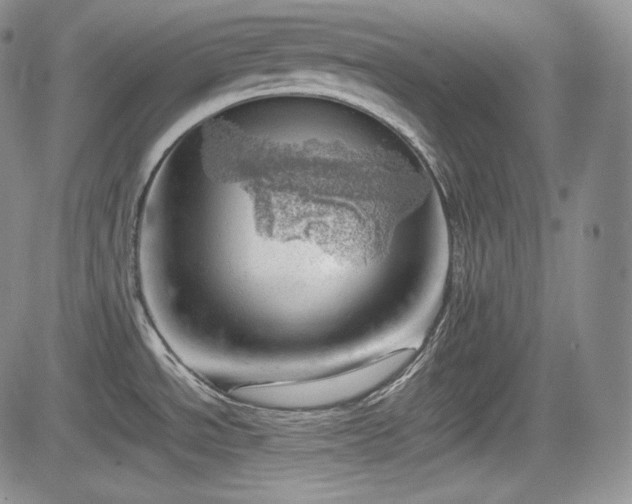 X0000085211534200703161206