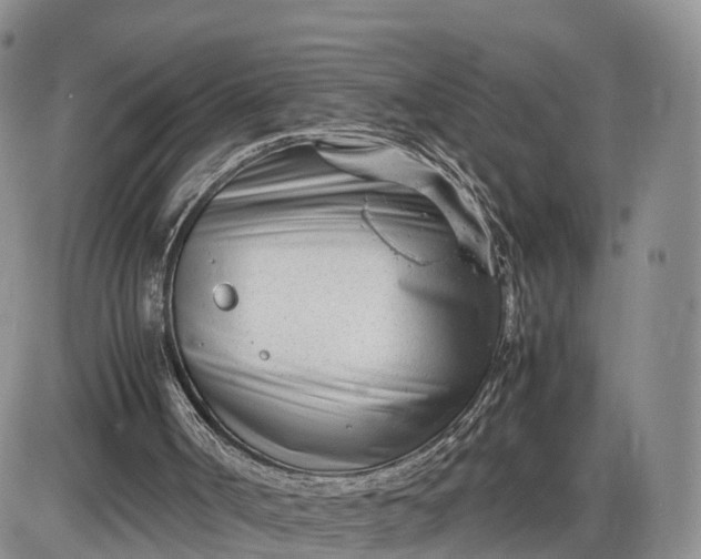 X0000085210002200703231519