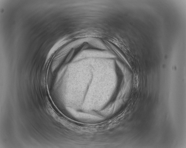 X0000085210004200703231519