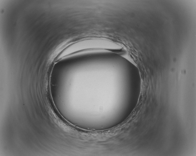 X0000085210005200703231519