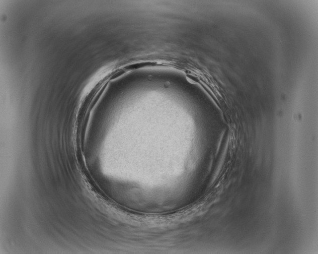 X0000085210006200703231519