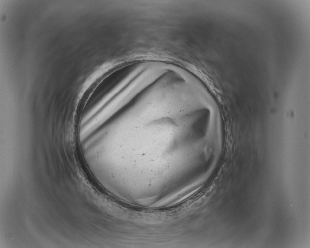 X0000085210008200703231519