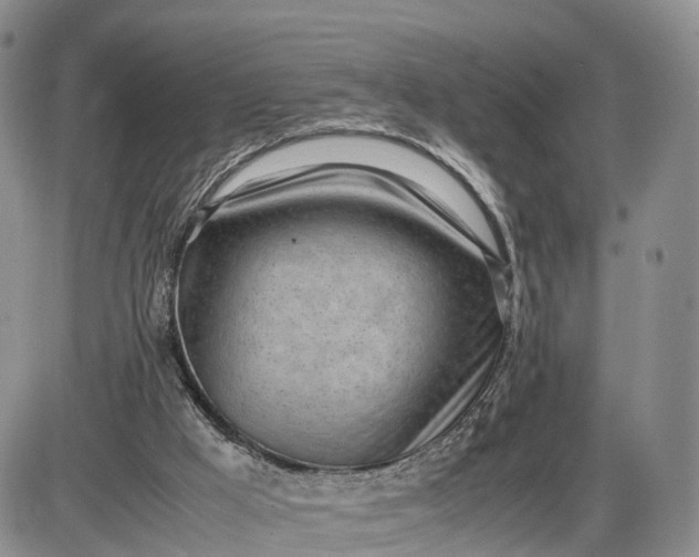 X0000085210009200703231519