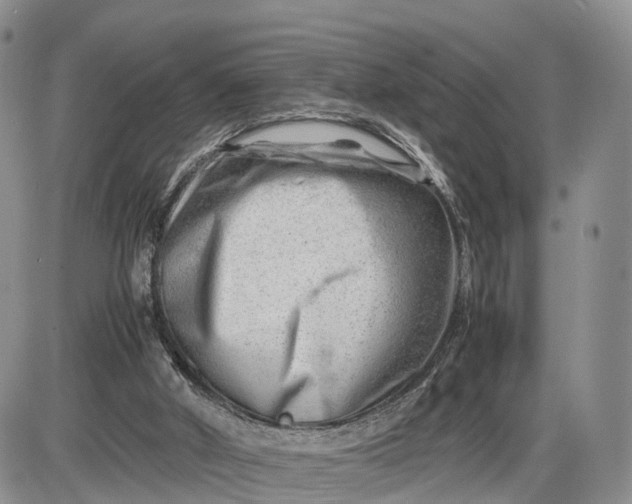 X0000085210010200703231519