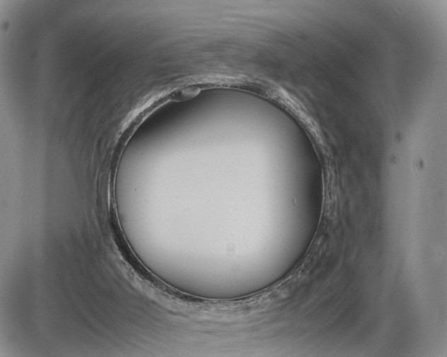 X0000085210011200703231518