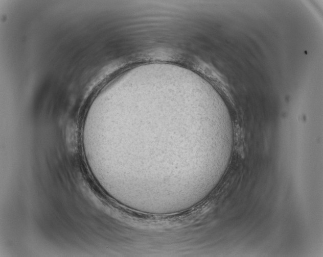 X0000085210012200703231518