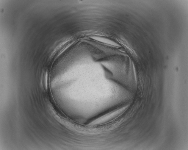 X0000085210014200703231518