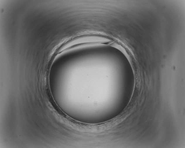 X0000085210015200703231518