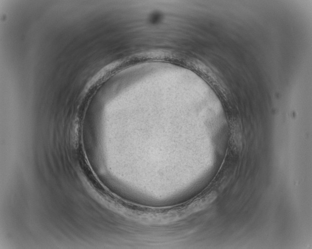 X0000085210016200703231518