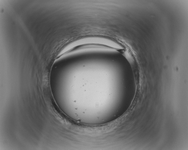 X0000085210017200703231518