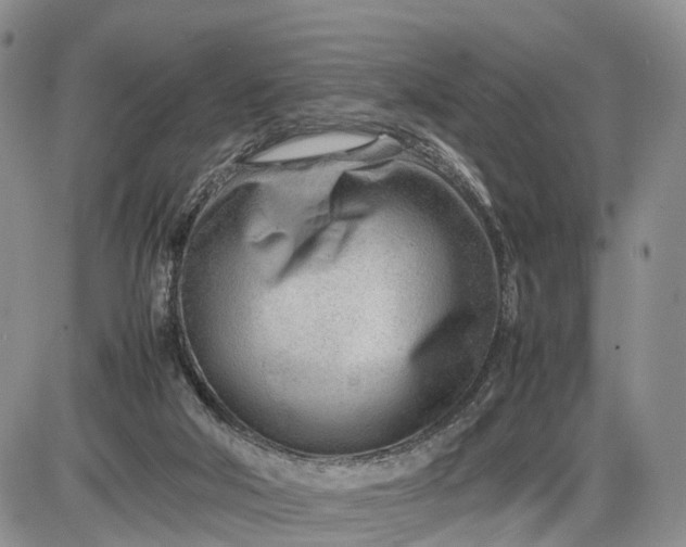 X0000085210018200703231518