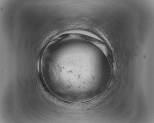 X0000085210019200703231518