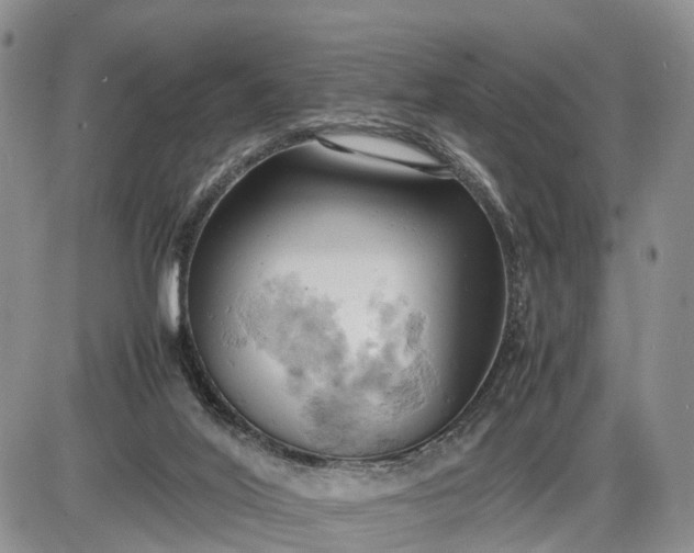 X0000085210020200703231518