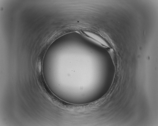 X0000085210021200703231518