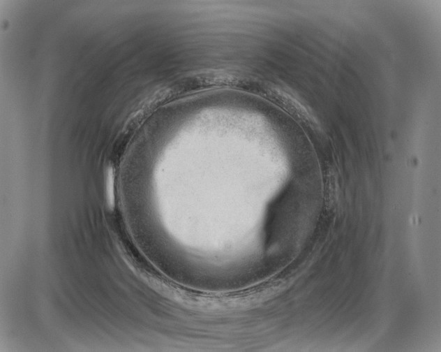 X0000085210022200703231518