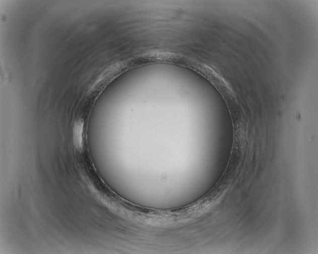 X0000085210024200703231518