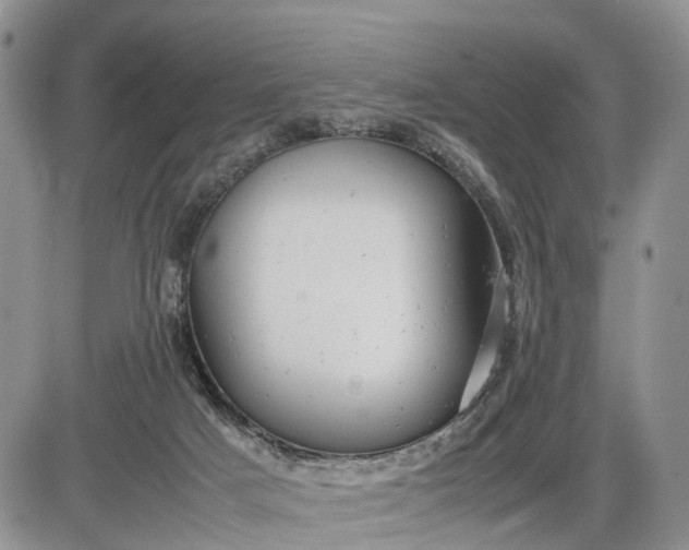 X0000085210025200703231518