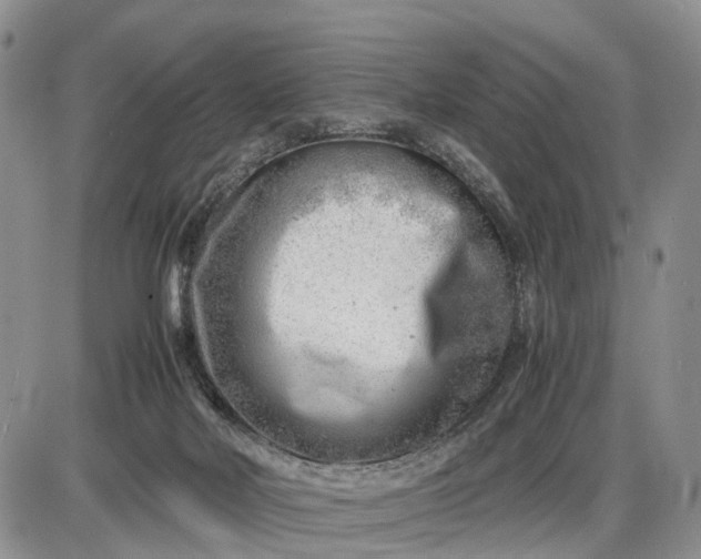 X0000085210026200703231518