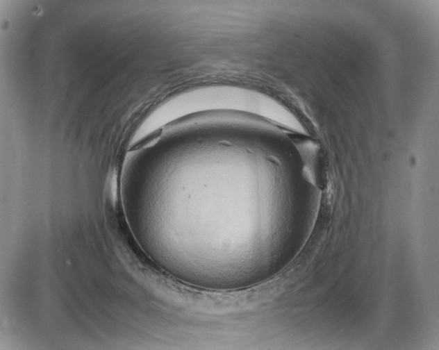 X0000085210027200703231518