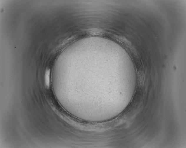 X0000085210028200703231518