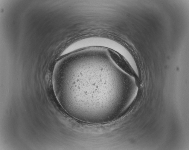 X0000085210029200703231518