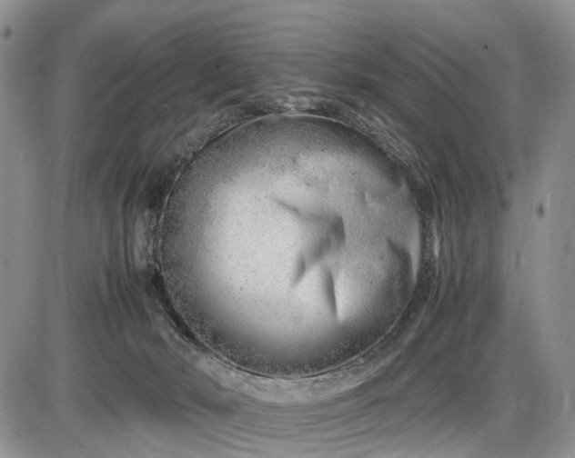 X0000085210030200703231518