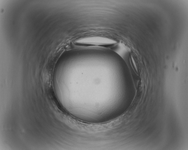 X0000085210031200703231518