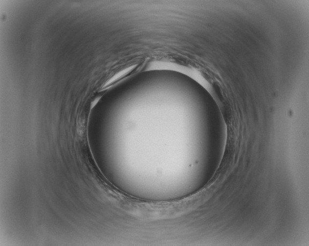 X0000085210033200703231518