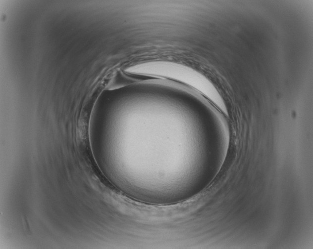 X0000085210035200703231518