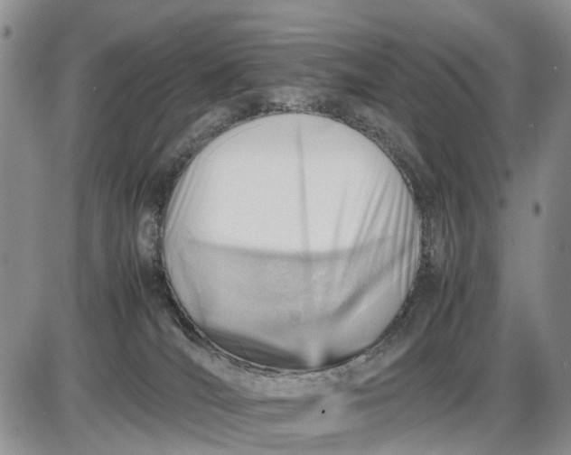 X0000085210036200703231518