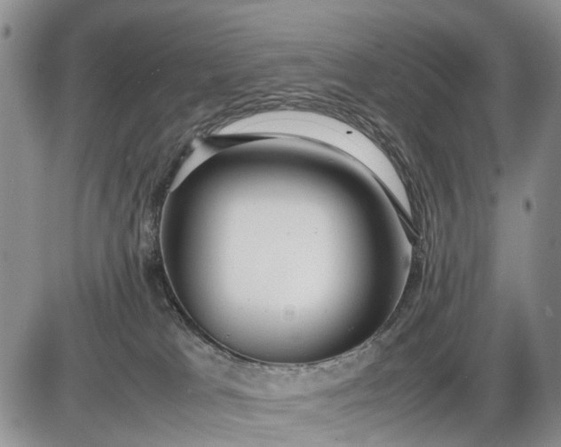 X0000085210037200703231518