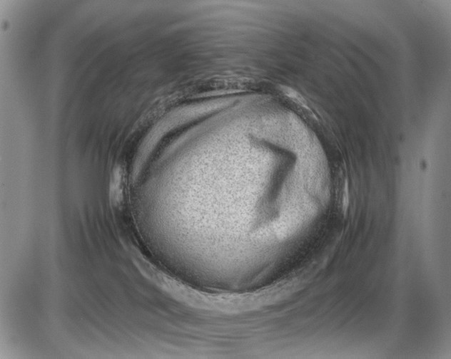 X0000085210038200703231518