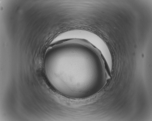 X0000085210039200703231518