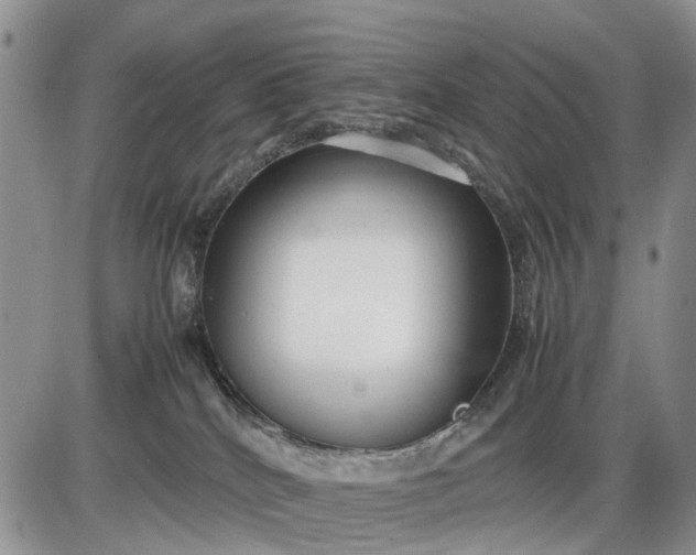 X0000085210040200703231518