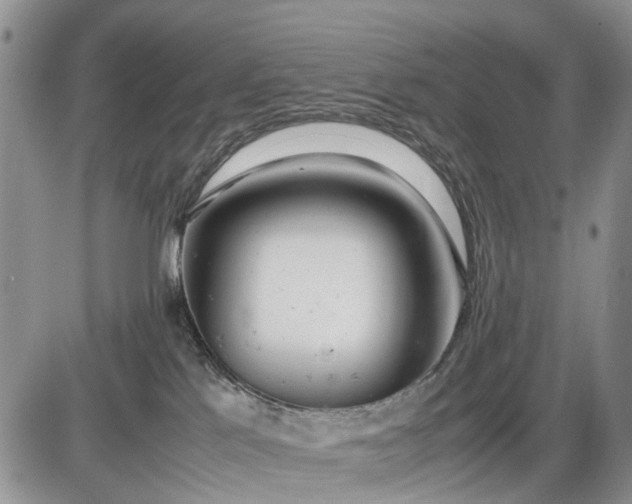 X0000085210041200703231518