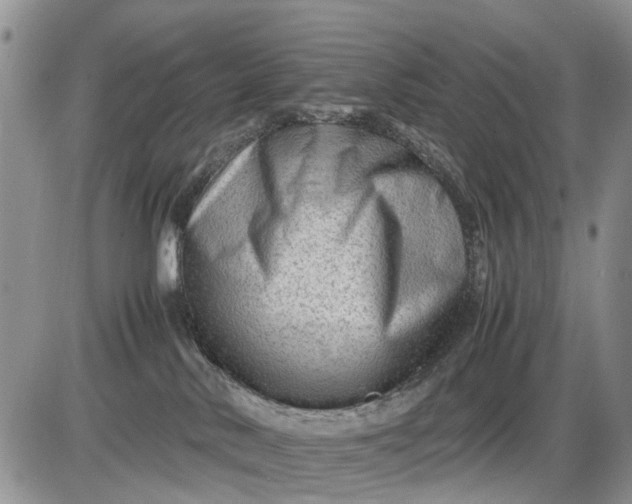 X0000085210042200703231518