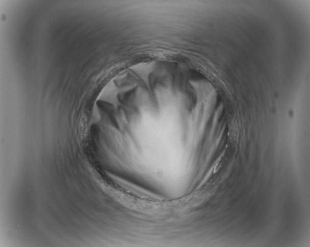 X0000085210043200703231518