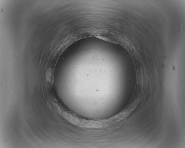 X0000085210044200703231518